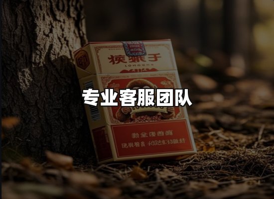 专业优势